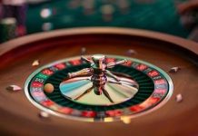 The Complete World of Lotus365: Sports, Casino, Community, and Everything in Between new lotus 365