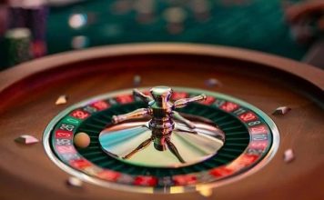 The Complete World of Lotus365: Sports, Casino, Community, and Everything in Between new lotus 365